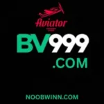 BV999 Game